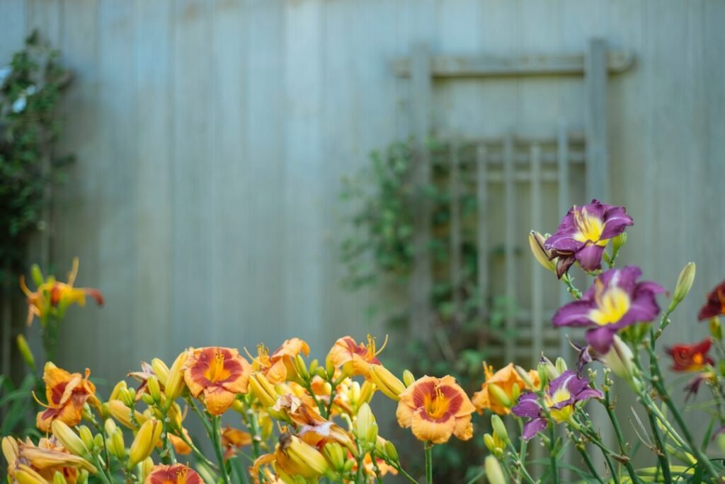 Flores anaranjadas y moradas delante de una pared de madera clara