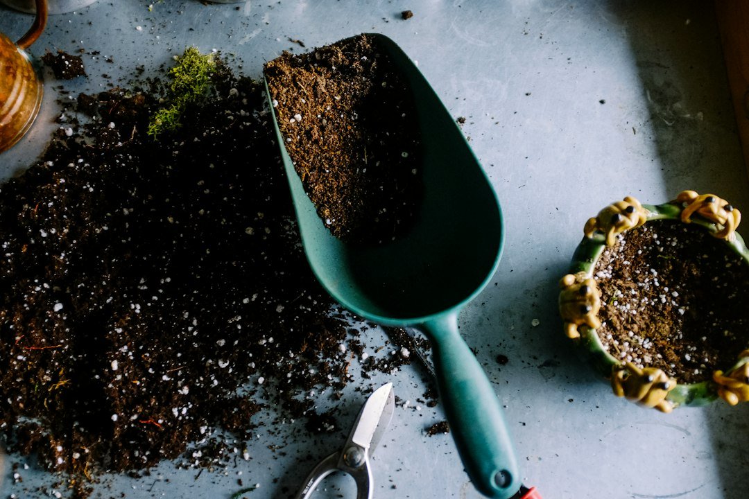 Pala verde con material de cultivo junto a un pequeño recipiente y herramientas de jardinería