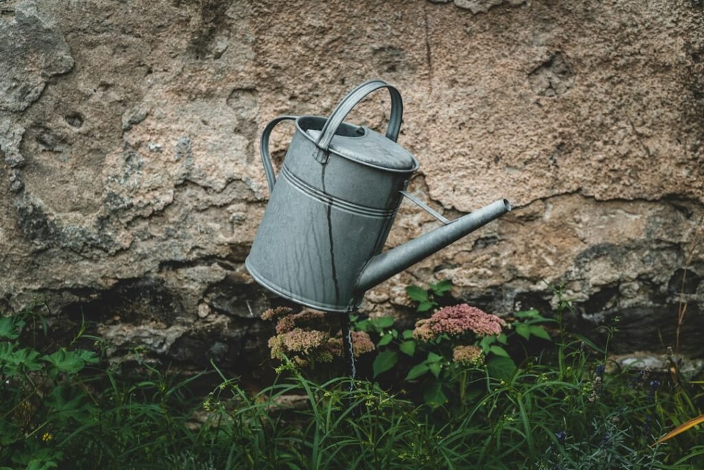 Regadera metálica gris junto a plantas y flores al pie de un muro