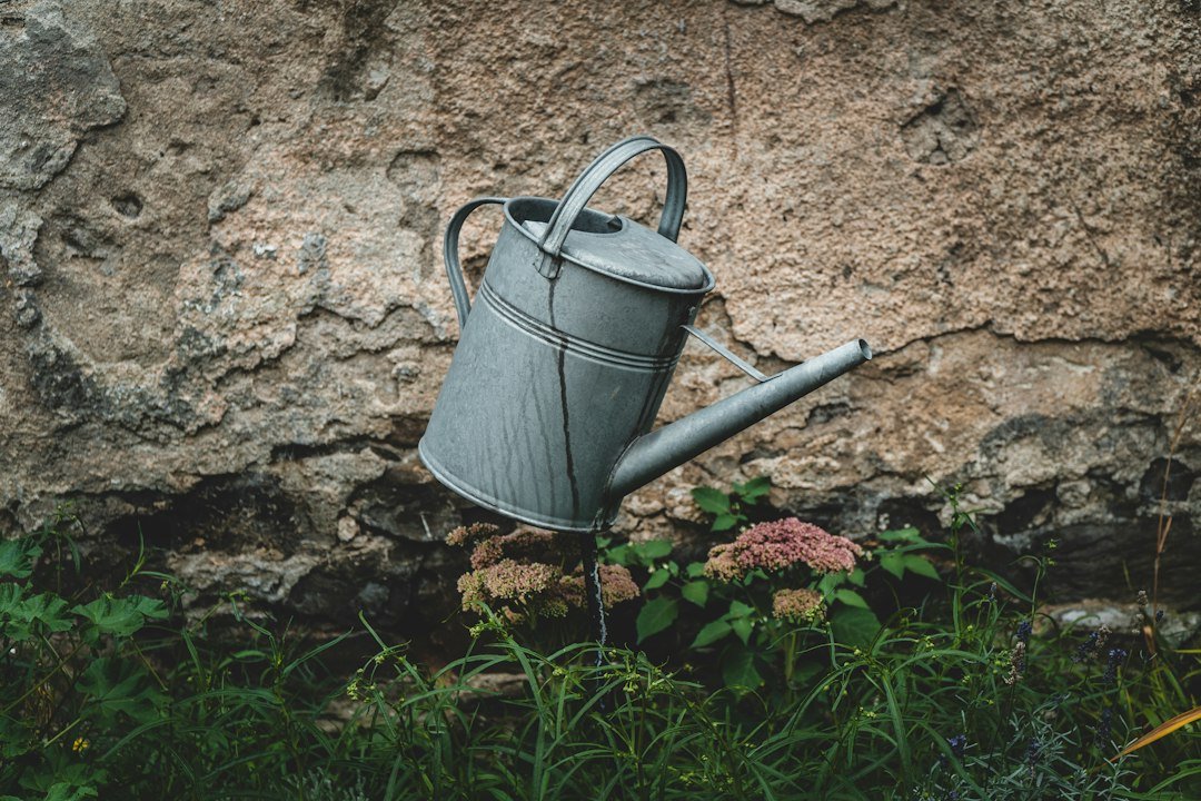 Regadera metálica gris junto a plantas y flores al pie de un muro